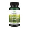 Groene munt – Spearmint Swanson, 400 mg (60 capsules)